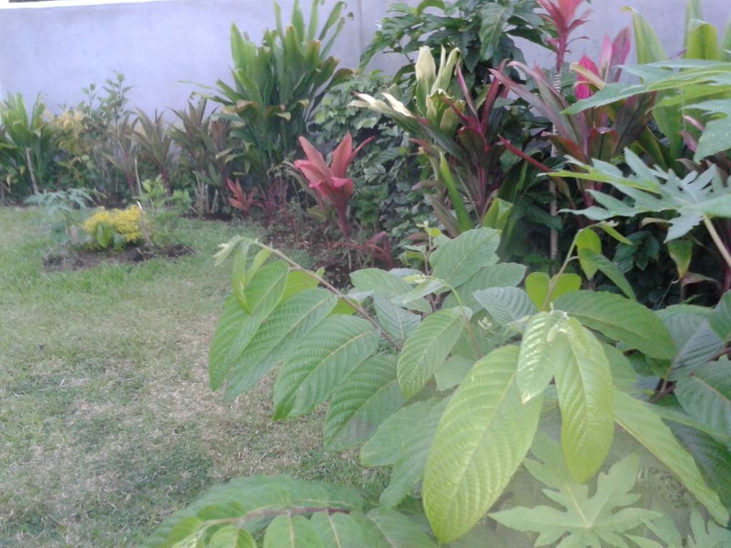 Dayspring Lodge Nuku'alofa Luaran gambar