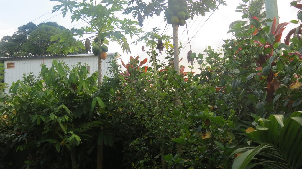 Dayspring Lodge Nuku'alofa Luaran gambar