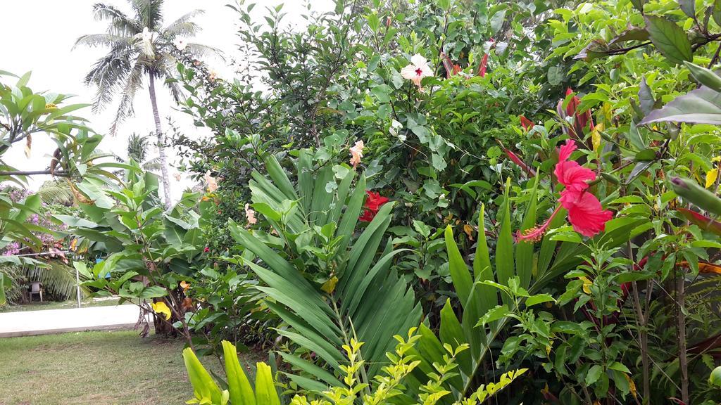 Dayspring Lodge Nuku'alofa Luaran gambar