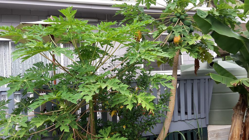 Dayspring Lodge Nuku'alofa Luaran gambar