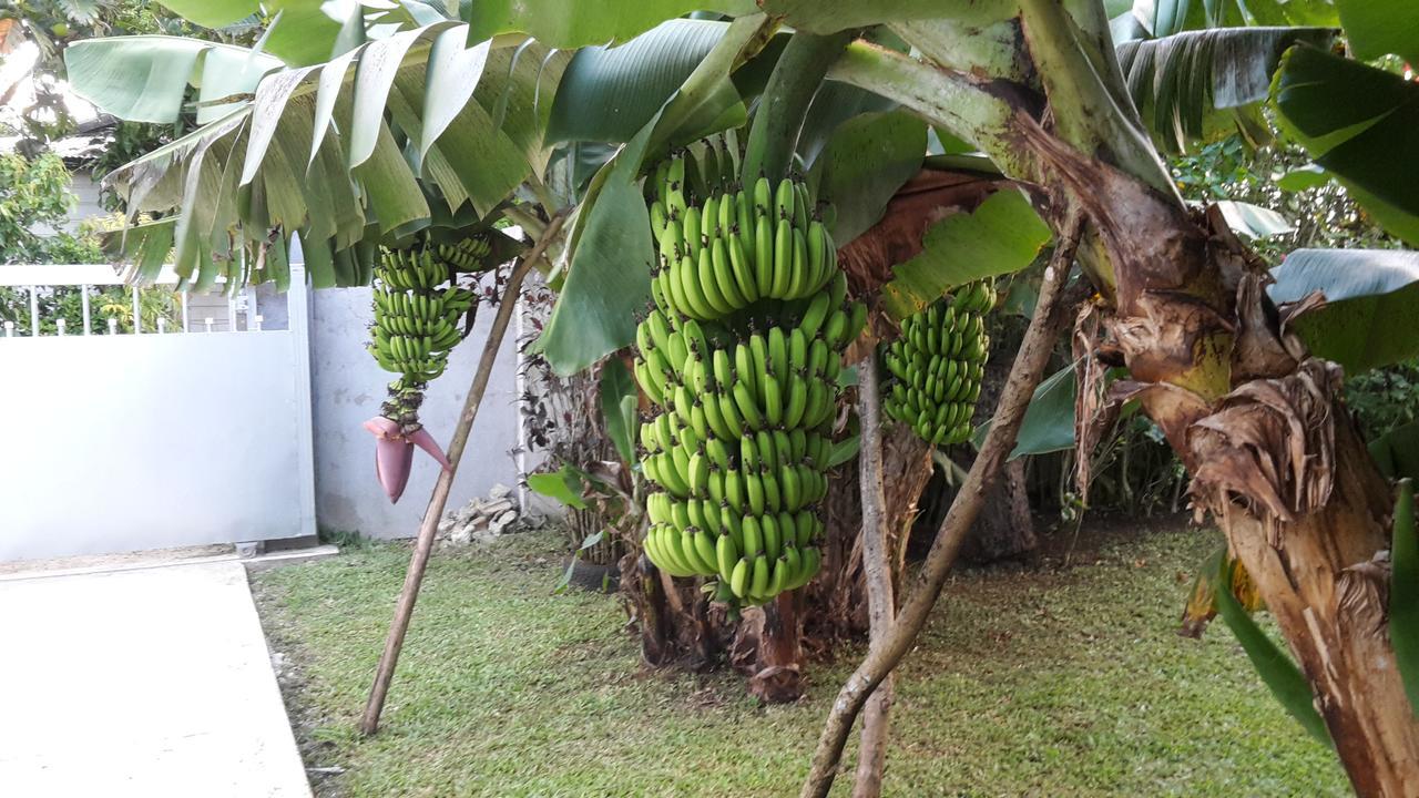 Dayspring Lodge Nuku'alofa Luaran gambar