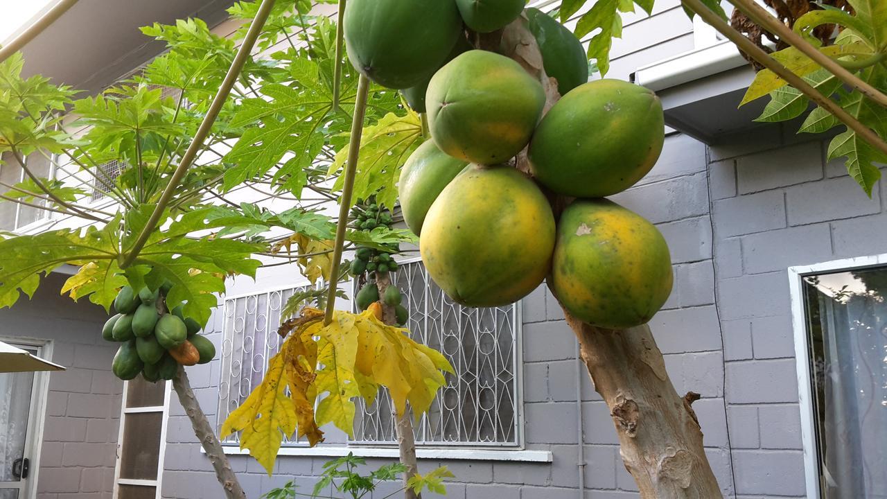 Dayspring Lodge Nuku'alofa Luaran gambar